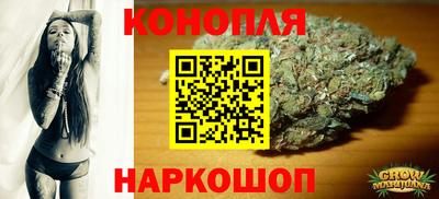СК Пенза