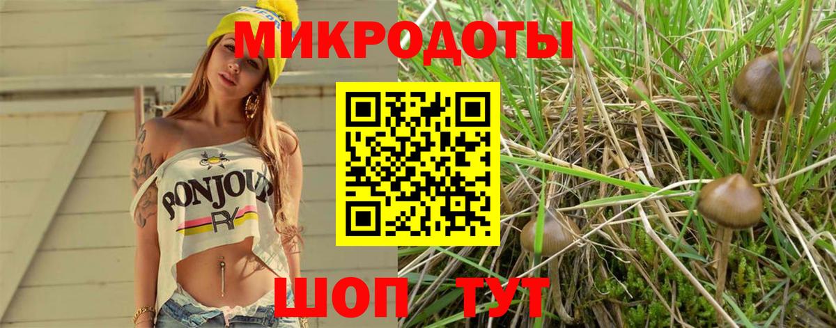Псилоцибиновые грибы мицелий Сертолово