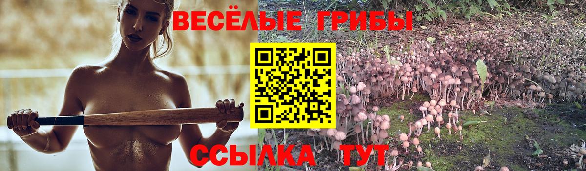 Cocaine  APVP СОЛЬ   Меф   Сертолово  Конопля  Вход с VPN  ГАШИШ 